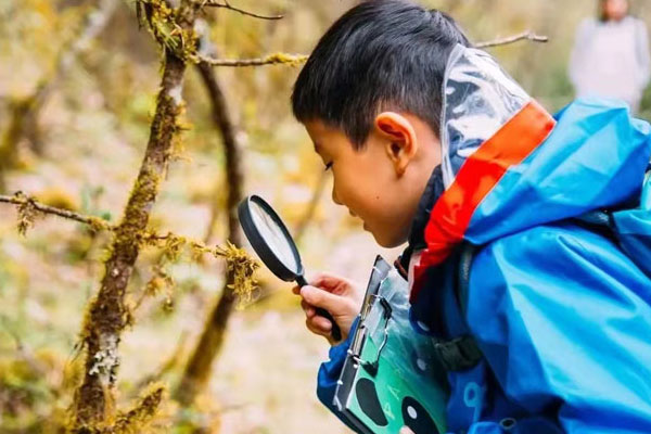 西安夏令营哪家专业？推荐机构一览