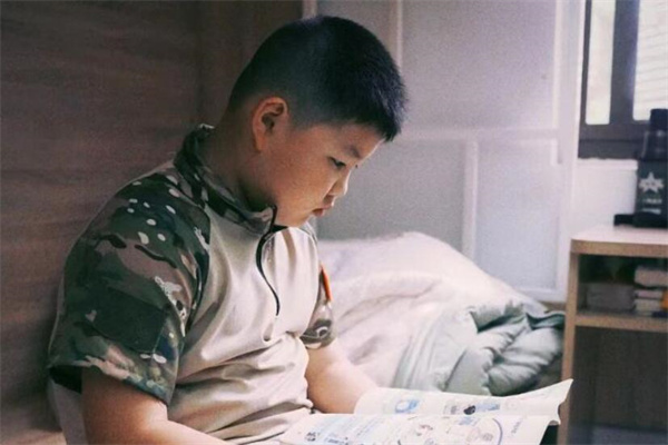 合肥夏令营机构有哪些比较正规的?推荐3家靠谱机构