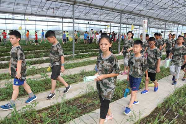 南昌夏令营机构有哪些地方参加?精选优质可信赖地方