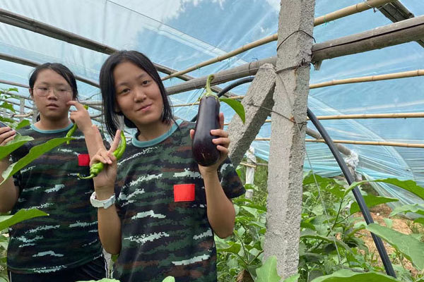 深圳夏令营排行榜,多元化教学营地上榜