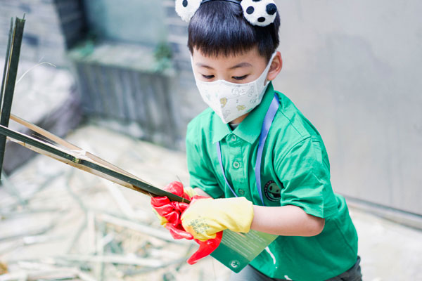 成都夏令营排行榜？师资精良机构榜单