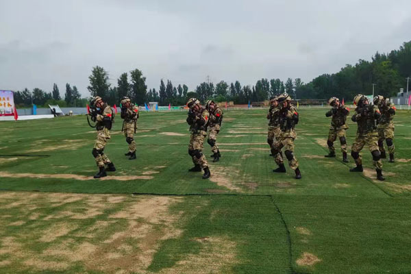 西安夏令营哪个机构比较好?家长速看