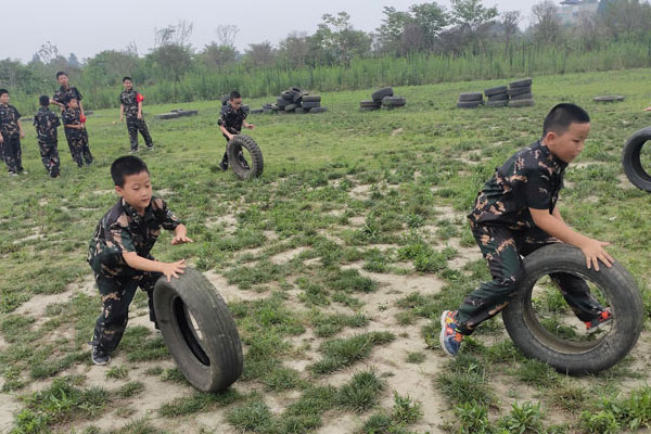 成都好的夏令营机构排名，优质机构上榜
