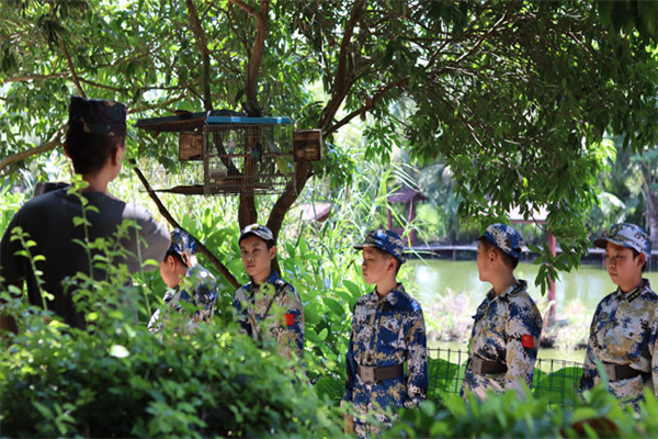 合肥儿童夏令营哪家好一点的？正规机构不错过