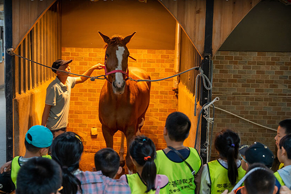 2025【北京运动成长马术营】马房实操课+极限飞盘+水上皮划艇