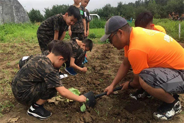 上海中学生夏令营哪里好？热心推荐靠谱机构