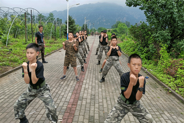 西安少儿夏令营哪家好？前三名榜单