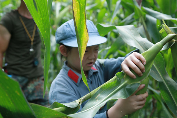 上海儿童夏令营七天多少钱？一周价格参考