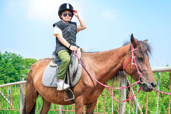 上海暑假夏令营费用多少钱？报名价格参考