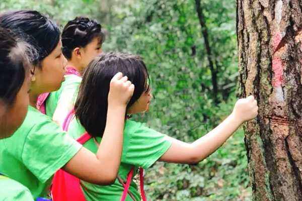 济南的夏令营需要多少钱?收费一览