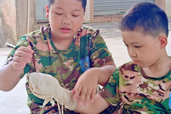 深圳夏令营收费标准？活动报价一览