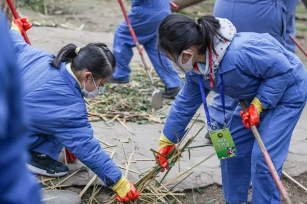 成都暑期夏令营怎么收费的？不同营地报价参考